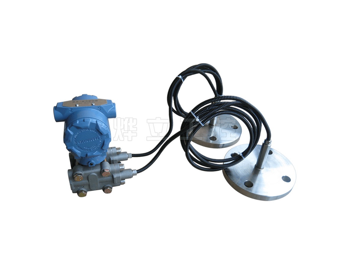WMB3351雙法蘭遠傳壓力/壓差變送器